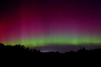 Aurora13