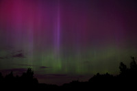 Aurora August 11 2024