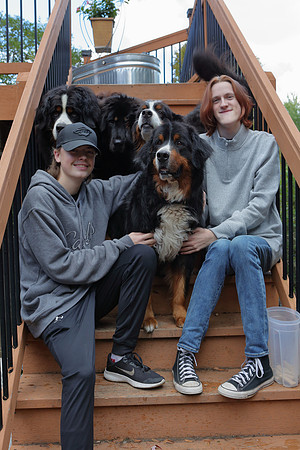 Dogs 3