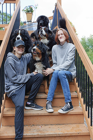 Dogs 6