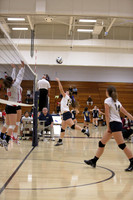 JV B DPP_10