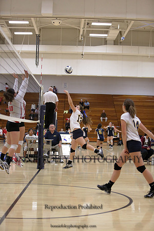 JV B DPP_10