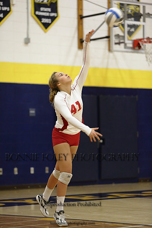 JV B DPP_50