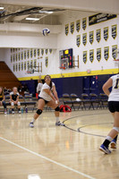 JV B DPP_11