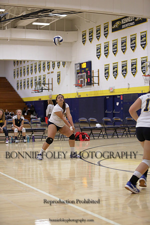 JV B DPP_11