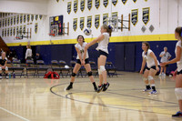 JV B DPP_8