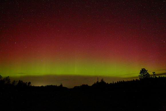 Aurora6