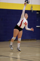 JV B DPP_6