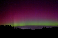 Aurora8