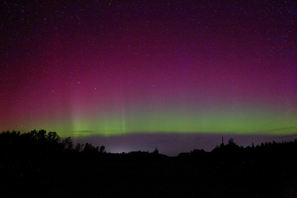 Aurora8