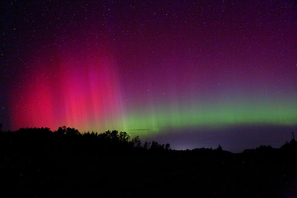 Aurora16