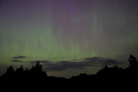 Aurora lg16