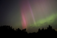 Aurora lg4