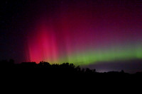 Aurora14