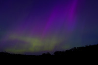 cut 1_20