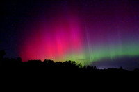 Aurora19