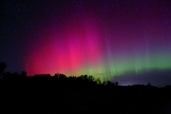 Aurora19