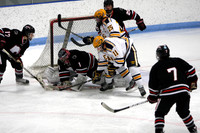 Lakeville North vs Kennedy 1/14/14