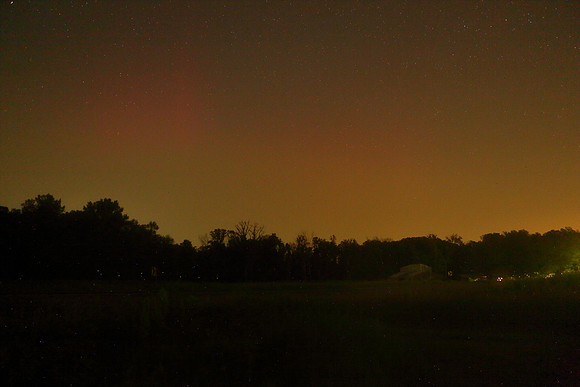fireflies2