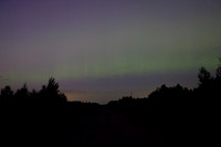 Aurora lg17