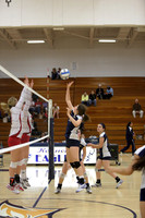 JV B DPP_20
