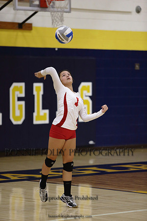 JV B DPP_33
